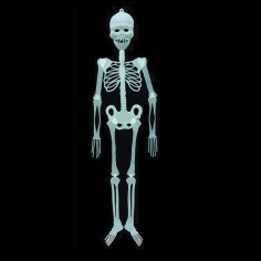 Decoración Esqueleto Glow 90 cm Cotillón Activarte Decoración Halloween