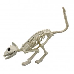 Esqueleto Gato 48 x 18 cm Cotillón Activarte Decoración Halloween