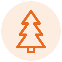 Decoración y Cotillón Navidad