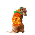 Disfraz de Perro Calabaza
