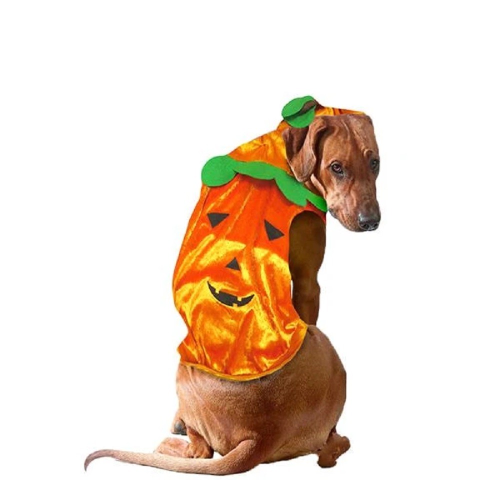 Disfraz de Perro Calabaza