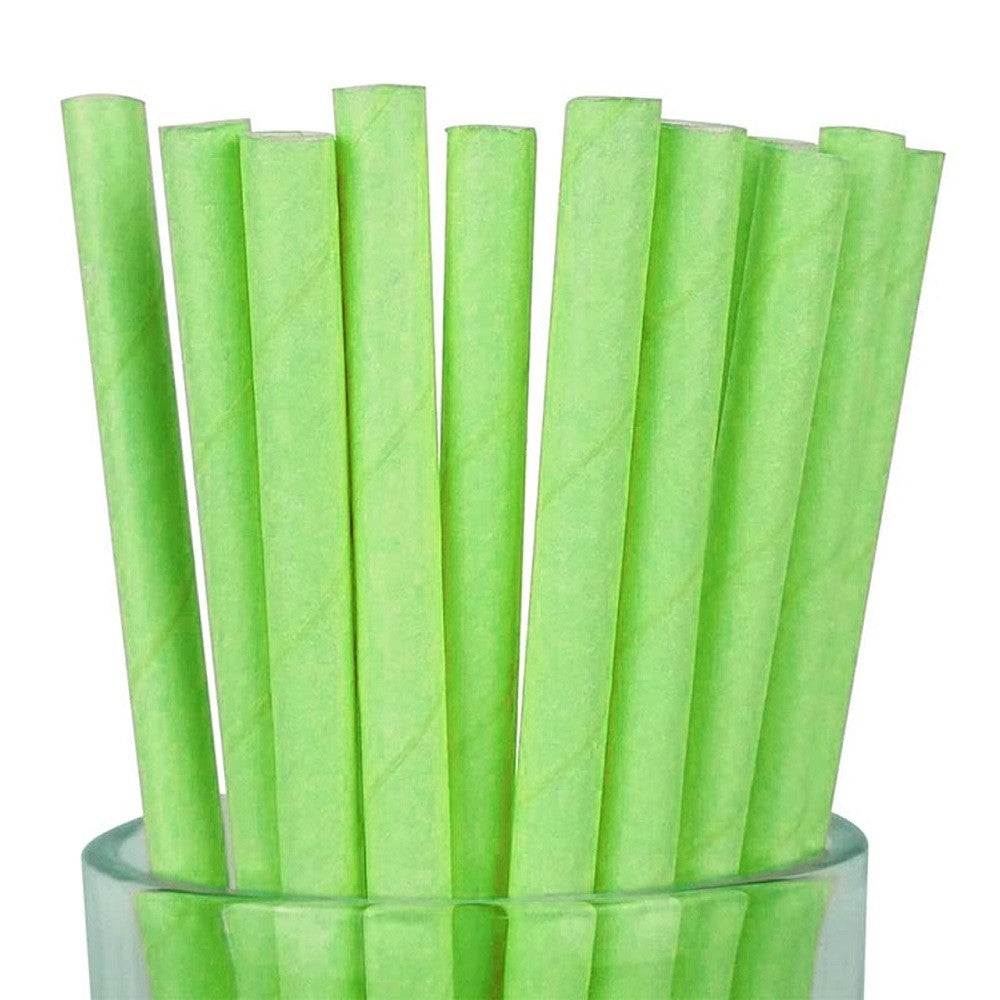 Bombilla Ecológica Papel x 25 Colores
