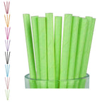 Bombilla Ecológica Papel x 25 Colores