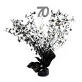 Centro de Mesa 70 Años