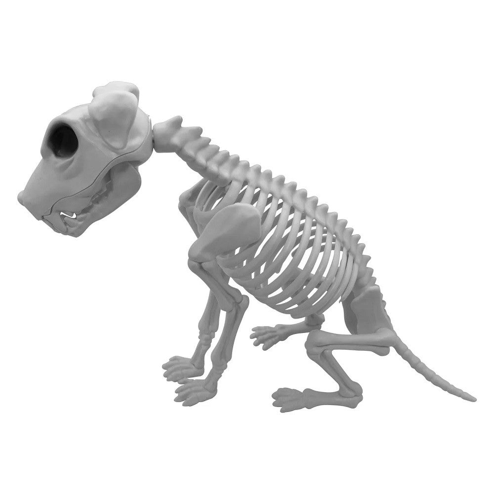 Esqueleto Perro 43 x 25 cm