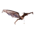 Murciélago Volador Animado
