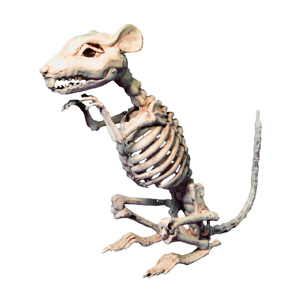 Esqueleto Ratón