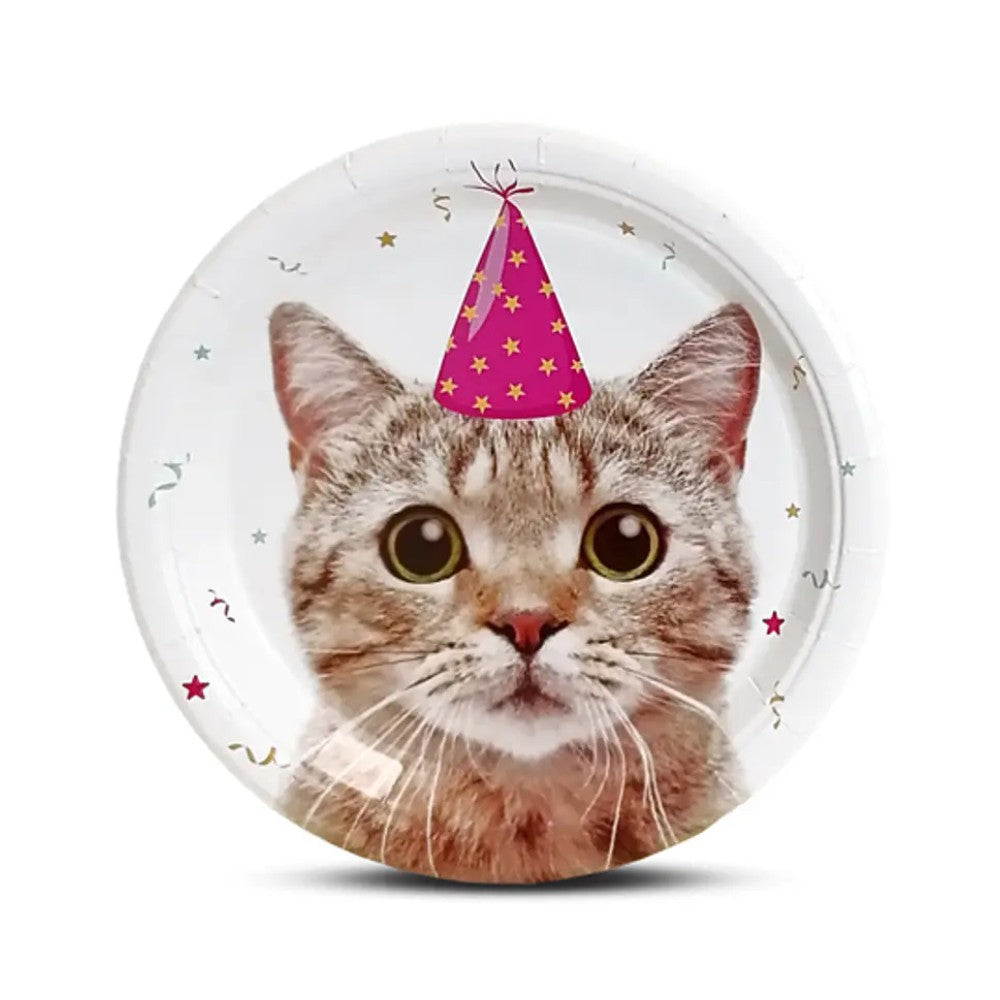 Platos Cumpleaños Gato x 6