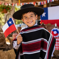 Manta Huaso 45 x 70 cm Fiestas Patrias Chile