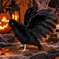 Cuervo Negro Halloween