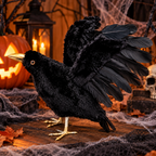 Cuervo Negro Halloween