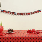 Pack Decoración Cumpleaños Ladybug para 12 Personas