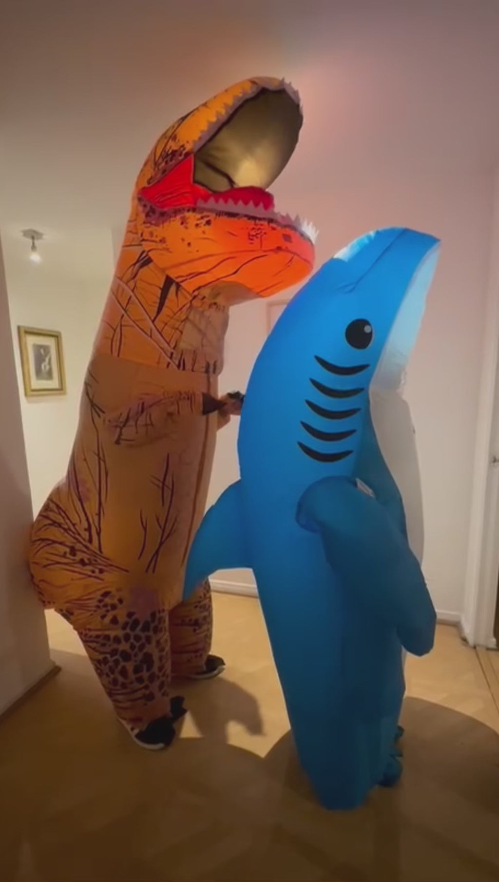 Disfraz Dinosaurio Inflable Niño